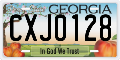 GA license plate CXJ0128
