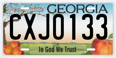 GA license plate CXJ0133
