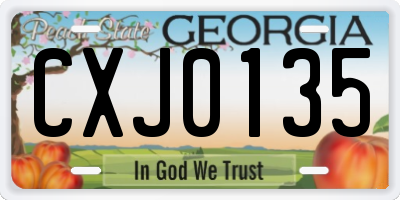GA license plate CXJ0135