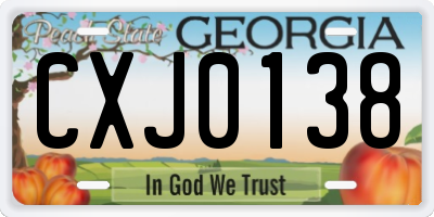 GA license plate CXJ0138