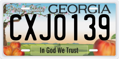 GA license plate CXJ0139