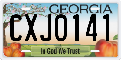 GA license plate CXJ0141