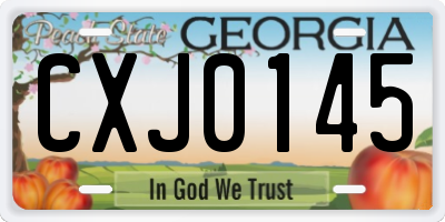 GA license plate CXJ0145