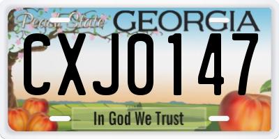 GA license plate CXJ0147