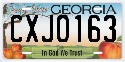 GA license plate CXJ0163