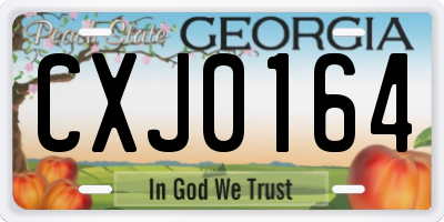 GA license plate CXJ0164