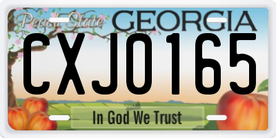 GA license plate CXJ0165