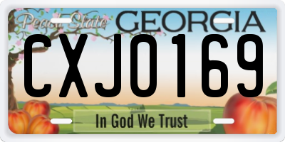 GA license plate CXJ0169