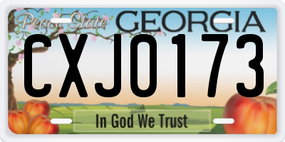 GA license plate CXJ0173