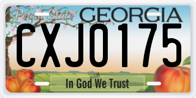 GA license plate CXJ0175