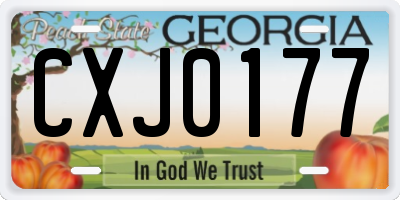GA license plate CXJ0177