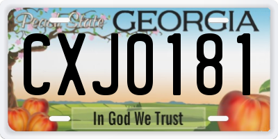 GA license plate CXJ0181