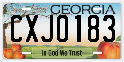 GA license plate CXJ0183