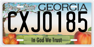 GA license plate CXJ0185
