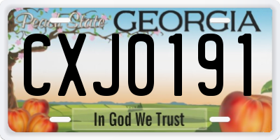 GA license plate CXJ0191