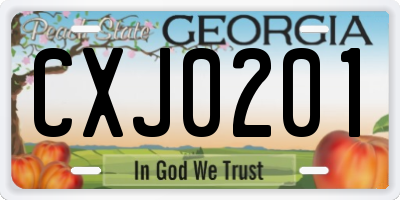 GA license plate CXJ0201