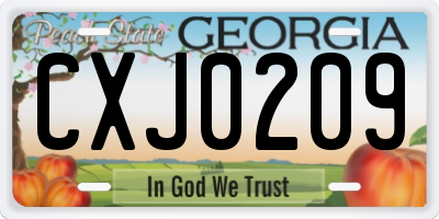GA license plate CXJ0209