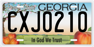 GA license plate CXJ0210