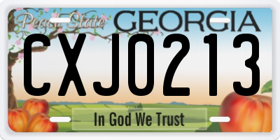 GA license plate CXJ0213