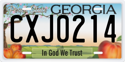 GA license plate CXJ0214