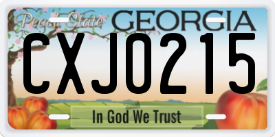 GA license plate CXJ0215