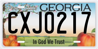GA license plate CXJ0217