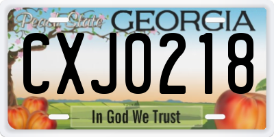 GA license plate CXJ0218