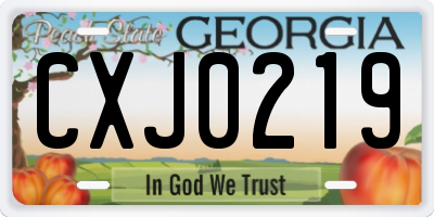 GA license plate CXJ0219