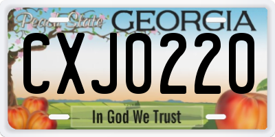 GA license plate CXJ0220