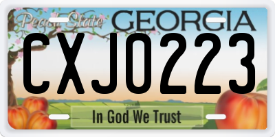 GA license plate CXJ0223