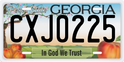 GA license plate CXJ0225