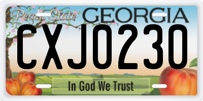 GA license plate CXJ0230