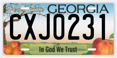 GA license plate CXJ0231