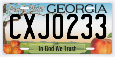 GA license plate CXJ0233