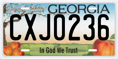 GA license plate CXJ0236