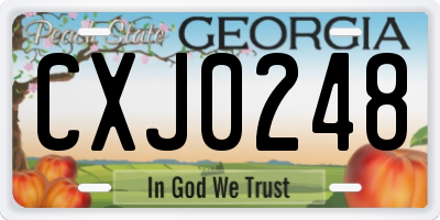 GA license plate CXJ0248