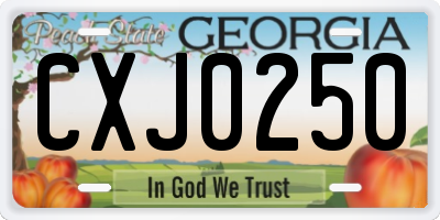 GA license plate CXJ0250