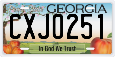 GA license plate CXJ0251