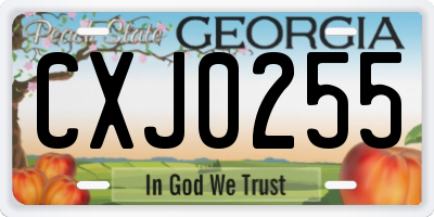 GA license plate CXJ0255