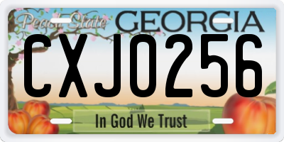 GA license plate CXJ0256