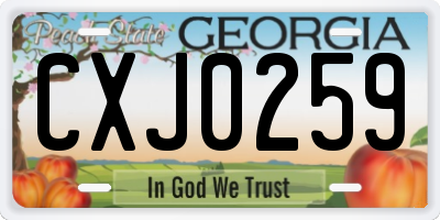 GA license plate CXJ0259