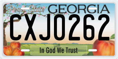 GA license plate CXJ0262