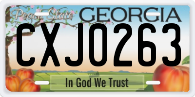 GA license plate CXJ0263