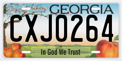 GA license plate CXJ0264