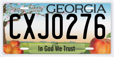GA license plate CXJ0276