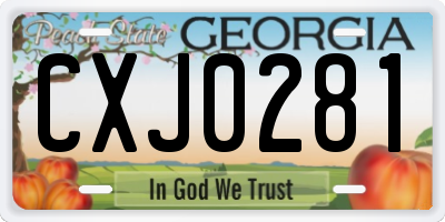 GA license plate CXJ0281