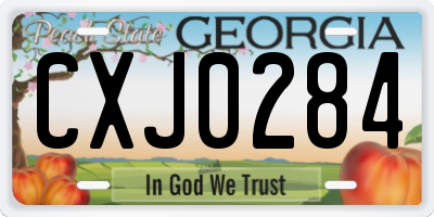 GA license plate CXJ0284
