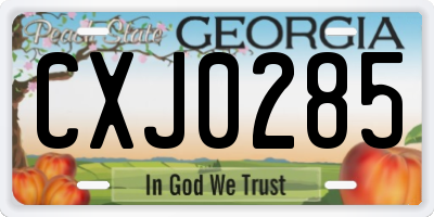 GA license plate CXJ0285