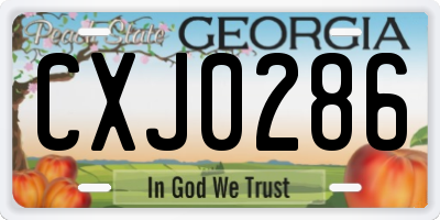 GA license plate CXJ0286