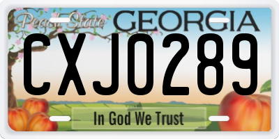GA license plate CXJ0289